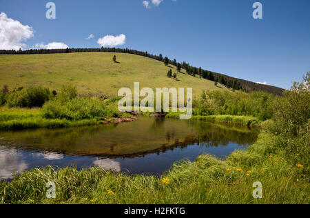 MT00086-00...MONTANA - North Fork foro grande fiume vicino il fantasma tepees presso il foro grande National Battlefield. Foto Stock