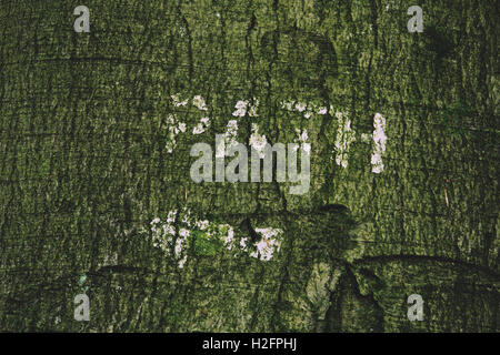 Segno di percorso dipinta su un tronco di albero Vintage filtro retrò. Foto Stock