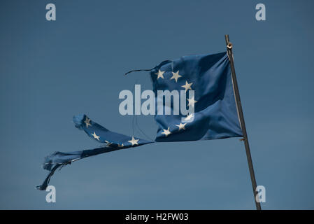 Strappata bandiera Europea sventolare nel vento, Saint Gilles, Camarque, Francia Foto Stock