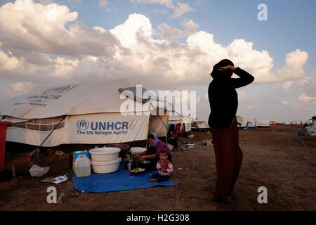 Yazidi donne preparare cibi accanto a una tenda UNHCR in Nawroz Refugee Camp che è stata inizialmente istituita per shelter Aramei spostato dall'attuale siria guerra civile poi occupata dagli sfollati dalla minoranza setta Yazidi, che fuggono dalla violenza nella città irachena di Sinjar situato vicino alla città di al-Malikyah in Rojava autonoma curda, regione nord-orientale della Siria. Foto Stock