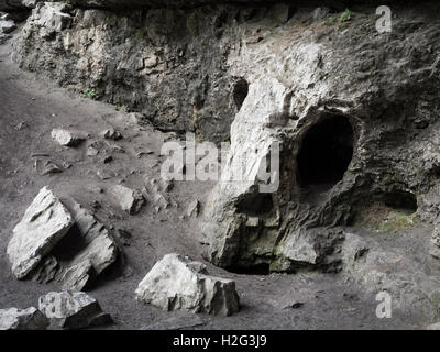 Troll del cranio Foto Stock