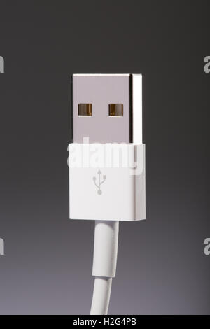 Un connettore del cavo USB Foto Stock