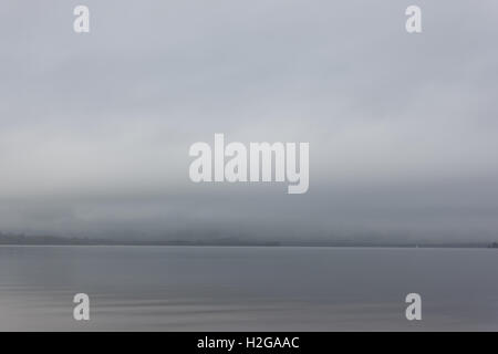Un freddo misty per iniziare la mattina nel parco di Balloch Foto Stock
