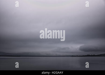 Un freddo misty per iniziare la mattina nel parco di Balloch Foto Stock