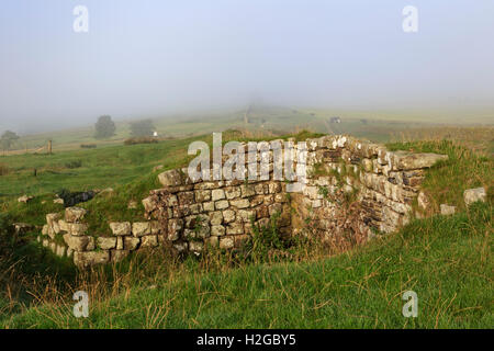 Aesica (grande) Chesters Roman Fort - l'angolo nord-ovest in una nebbiosa mattina, il vallo di Adriano, Northumberland, Inghilterra Foto Stock