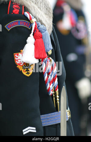 Le protezioni del palazzo d'inverno uniforme al Castello di Praga, Repubblica Ceca. Foto Stock