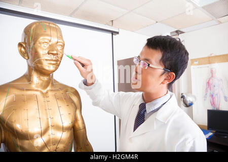 La medicina cinese medico acupoint insegnamento sul modello umano Foto Stock