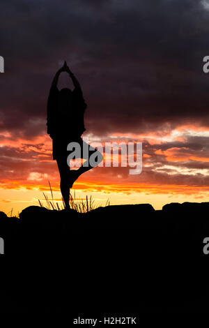 La donna a praticare yoga in posa la posizione dell'albero al tramonto, silhoutte contro il sole di setting. Copiare lo spazio a destra e in basso Foto Stock