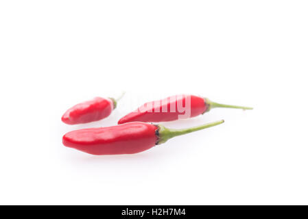 Spicy Hot Chili Peppers su sfondo bianco Foto Stock