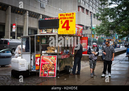 Un cane di strada stand a Toronto in Canada. Foto Stock