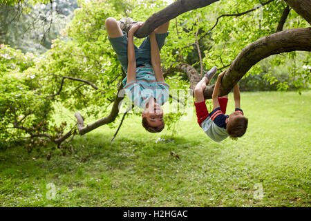 Due ragazzi felice appeso su albero in estate park Foto Stock