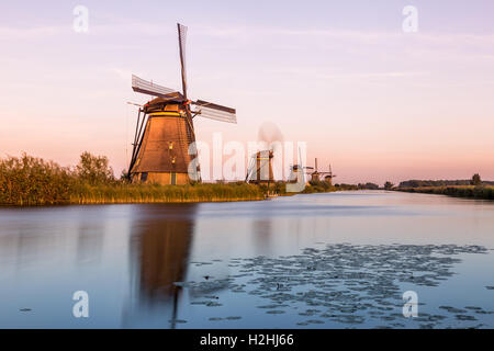 Mulini a vento di Kinderdijk vicino a Rotterdam nei Paesi Bassi. Molla colorata in scena la famosa Kinderdijk canali con mulini a vento Foto Stock