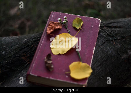 Libro di poesie con caduta foglie e fiori su di esso Foto Stock