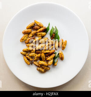 Asian snack fritto di seta crisalide con foglie verdi adeguatamente servito su una piastra bianca Foto Stock