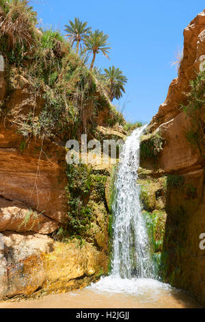 Mides Gorge cascata tra le palme da dattero del deserto del Sahara oasi di Mides, Tunisia, Nord Africa Foto Stock