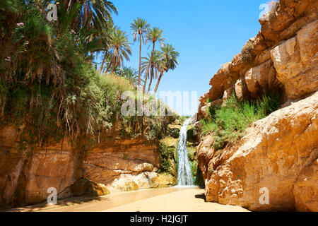 Mides Gorge cascata tra le palme da dattero del deserto del Sahara oasi di Mides, Tunisia, Nord Africa Foto Stock