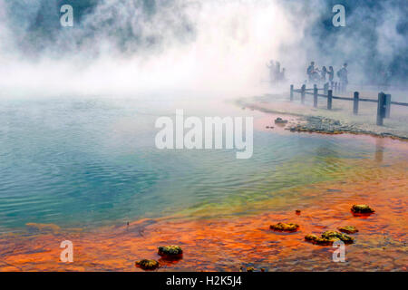 Visitatori presso la piscina di champagne in Wai-O-Tapu zona termale, Waiotapu, Rotoua, regione di Waikato, Nuova Zelanda Foto Stock