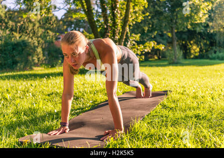 Spinta in su, giovane donna in abbigliamento sportivo facendo allenamento sul tappeto nel parco, Monaco di Baviera, Baviera, Baviera, Germania Foto Stock