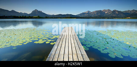 Pier over water lilies Hopfensee, nella parte anteriore delle Alpi dell'Algovia, Algovia, Baviera, Germania Foto Stock