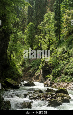 Fiume Breitach e Breitachklamm gorge, Kleinwalsertal a Oberstdorf, Oberallgäu, Baviera, Germania Foto Stock