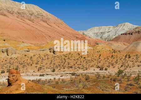 Montagne di Aktau in Altyn Emel Parco Nazionale in Kazakistan Foto Stock