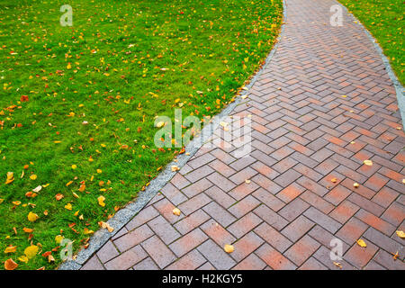 Percorso di autunno con foglie cadute, Foto Stock