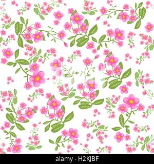 Fiore rosa su sfondo bianco Illustrazione Vettoriale