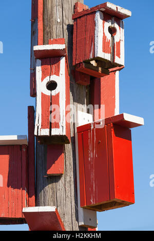 Rosso brillante Nesting scatole montati su palo di legno in Finlandia Foto Stock