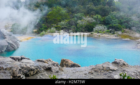 Blu piscina con acqua calda naturale di geyser che contengono minerali, Rotrua, Nuova Zelanda Foto Stock