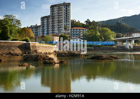 Riserva della Biosfera di Urdaibai, Gernika Stuary, Sukarrieta, Biscaglia, Paese Basco, Euskadi, Euskal Herria, Spagna, Europa Foto Stock