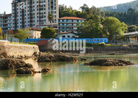 Riserva della Biosfera di Urdaibai, Gernika Stuary, Sukarrieta, Biscaglia, Paese Basco, Euskadi, Euskal Herria, Spagna, Europa Foto Stock