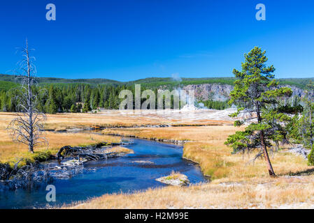Firehole fiume che scorre attraverso la Upper Geyser Basin nel Parco Nazionale di Yellowstone Foto Stock