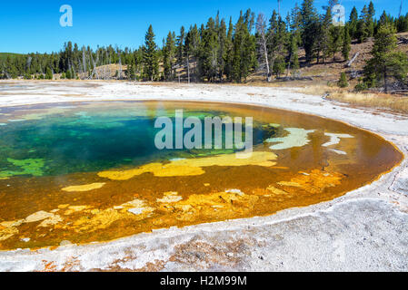 Beauty piscina e vista cielo nel Parco Nazionale di Yellowstone Foto Stock