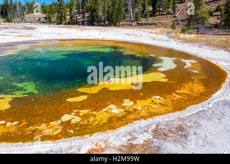 Vista della Piscina di bellezza in Upper Geyser Basin nel Parco Nazionale di Yellowstone Foto Stock