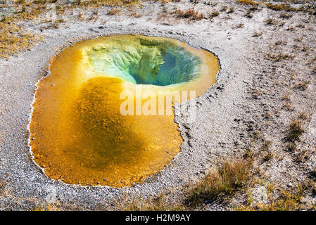 Piscina belga in Upper Geyser Basin nel Parco Nazionale di Yellowstone Foto Stock