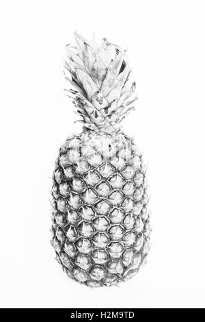 Ananas frutta isolato in bianco e nero Foto Stock