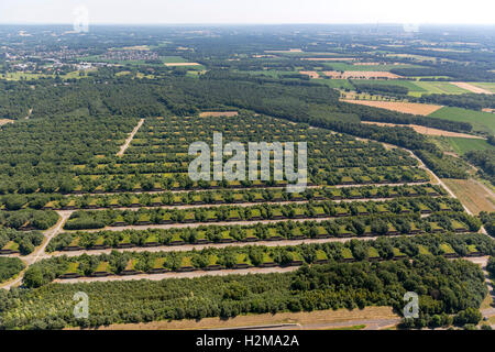 Vista aerea, Muna, munizioni bunker Bundeswehr in Wulfen, deposito delle forze tedesche, vista aerea di Dorsten, la zona della Ruhr, Foto Stock