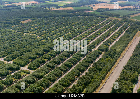 Vista aerea, Muna, munizioni bunker Bundeswehr in Wulfen, deposito delle forze tedesche, vista aerea di Dorsten, la zona della Ruhr, Foto Stock