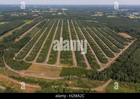 Vista aerea, Muna, munizioni bunker Bundeswehr in Wulfen, deposito delle forze tedesche, vista aerea di Dorsten, la zona della Ruhr, Foto Stock