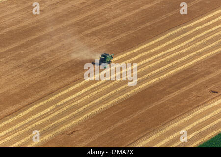 Vista aerea, il raccolto di grano con il trattore in un campo di Dorsten-Lembeck, Lembeck, vista aerea di Dorsten, la zona della Ruhr, Foto Stock