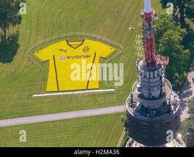 Vista aerea, la presentazione delle nuove maglie del Borussia Dortmund, BVB football club, nella Westfalia park con vista Foto Stock