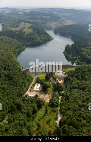 Vista aerea, Hasper dam, Hagen, vista aerea di Hagen, serbatoio, dam, isola, foresta, natura, bosco di latifoglie vista aerea Foto Stock