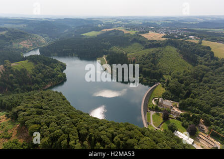 Vista aerea, Hasper dam, Hagen, vista aerea di Hagen, serbatoio, dam, isola, foresta, natura, bosco di latifoglie vista aerea Foto Stock