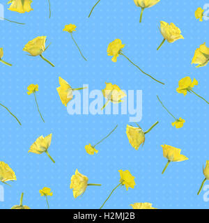 Sfondo ripetibile di battenti giallo rose, fotografati a studio luce morbida e puntini, isolato sul blu. Foto Stock