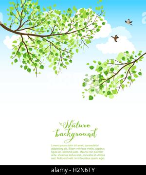 Estate Natura sfondo Illustrazione Vettoriale