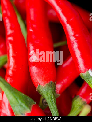 Chili Peppers significato peperoncino rosso e il Cile Foto Stock