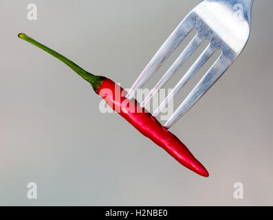 Chili sul significato della forcella di peperone rosso e peperoni Foto Stock