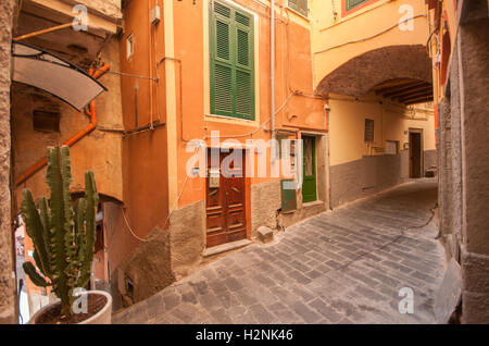 Un esempio degli stretti passaggi pedonali che sono tipici dei paesi del Mediterraneo, Riomaggiore Cinque Terre, Liguaria, Italia, Foto Stock