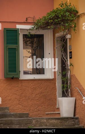 Colorato porta e di costruire in Manarola piazza principale, le Cinque Terre, Settembre Foto Stock