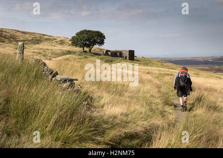 Un viandante con la Pennine Way, appena a sud di Top ambiti nel West Yorkshire Foto Stock